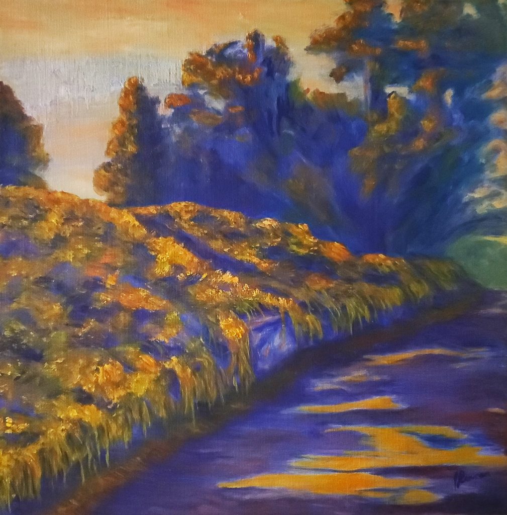 Finding Beauty in Nature’s Overlooked Corners | Joann Renner