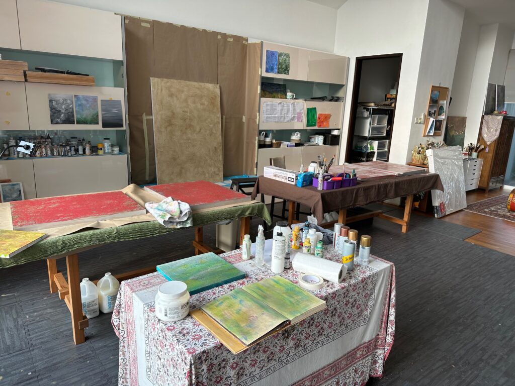 A studio visit and interview with Artist Rajul Shah