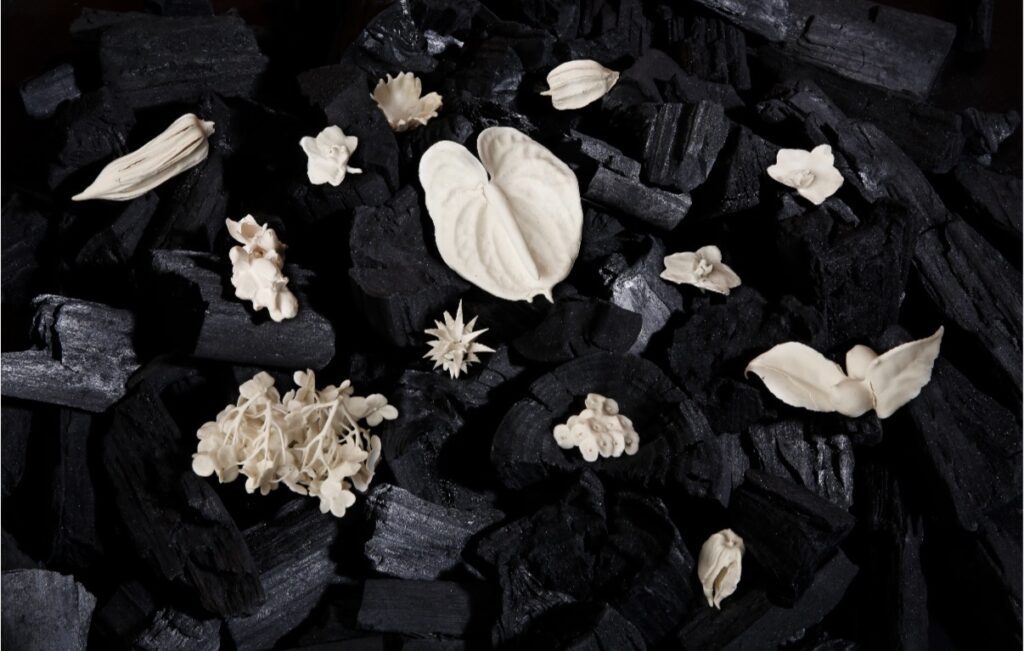 The beauty of still life